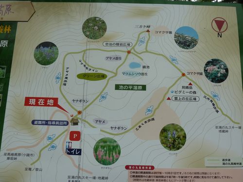 イメージ 4