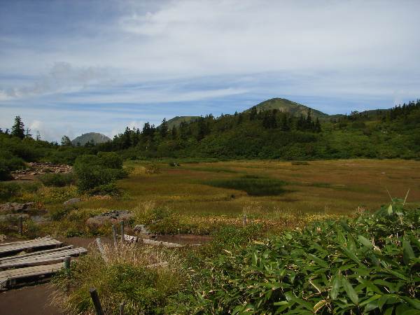 https://livedoor.blogimg.jp/yamane2019/imgs/6/8/6827a442.jpg