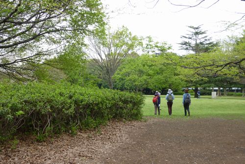 https://livedoor.blogimg.jp/yamane2019/imgs/6/b/6b22dd20.jpg