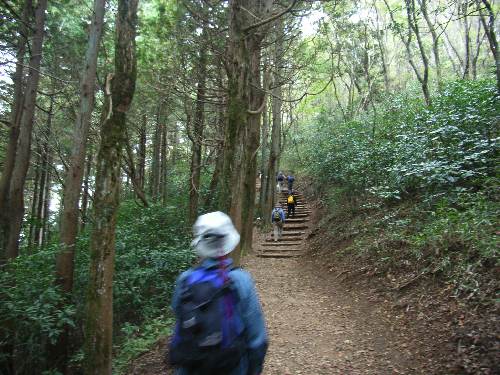 https://livedoor.blogimg.jp/yamane2019/imgs/6/b/6b3ba712.jpg