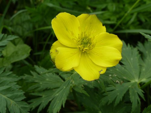 イメージ 4