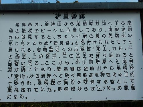イメージ 7