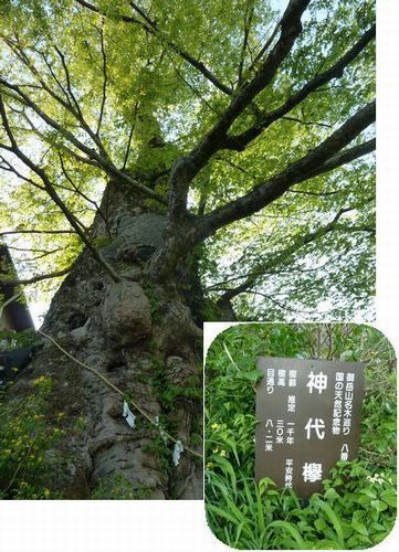 イメージ 19