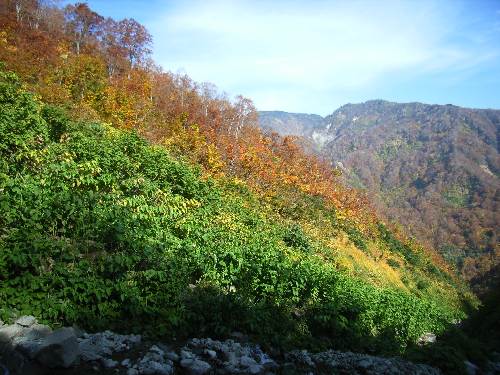 https://livedoor.blogimg.jp/yamane2019/imgs/7/3/73990565.jpg