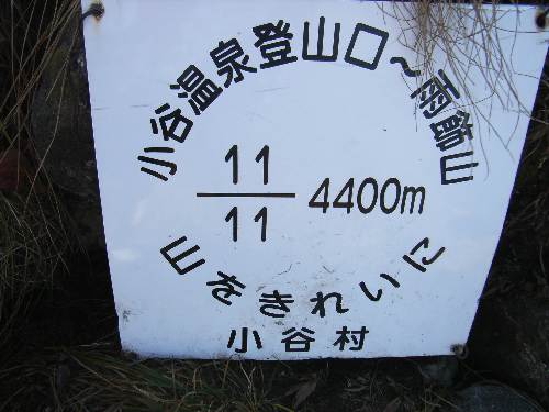 https://livedoor.blogimg.jp/yamane2019/imgs/7/4/742b4f5b.jpg