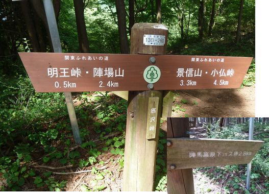 イメージ 7
