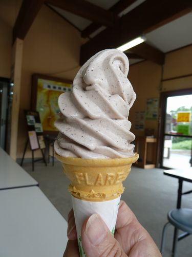 イメージ 9