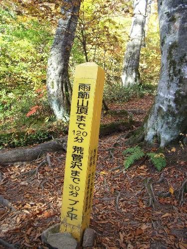https://livedoor.blogimg.jp/yamane2019/imgs/7/c/7c4077ff.jpg