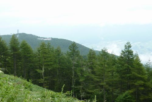https://livedoor.blogimg.jp/yamane2019/imgs/7/d/7d436bbd.jpg