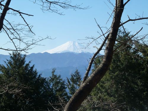 イメージ 8