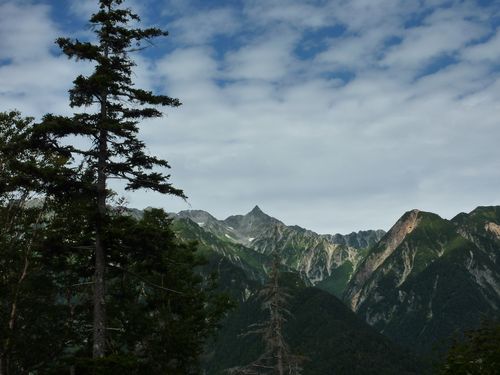 https://livedoor.blogimg.jp/yamane2019/imgs/8/1/8124f48b.jpg