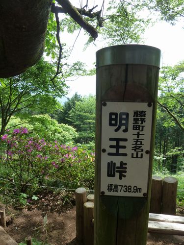 イメージ 4