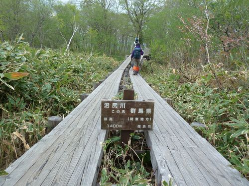 イメージ 5
