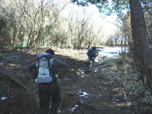 https://livedoor.blogimg.jp/yamane2019/imgs/8/d/8d61709a.jpg