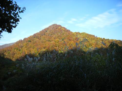 https://livedoor.blogimg.jp/yamane2019/imgs/8/d/8d8bf33b.jpg
