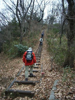 https://livedoor.blogimg.jp/yamane2019/imgs/8/e/8e17b14b.jpg