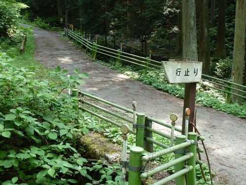 イメージ 12