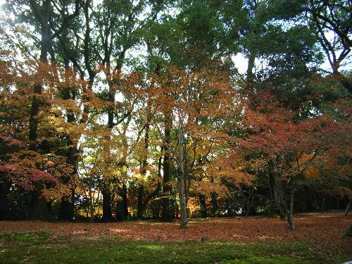 https://livedoor.blogimg.jp/yamane2019/imgs/9/1/91d85aa2.jpg