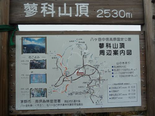 イメージ 17