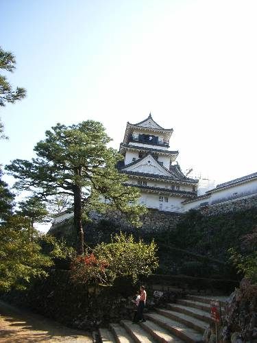 https://livedoor.blogimg.jp/yamane2019/imgs/9/c/9cce3cde.jpg