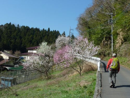 イメージ 3