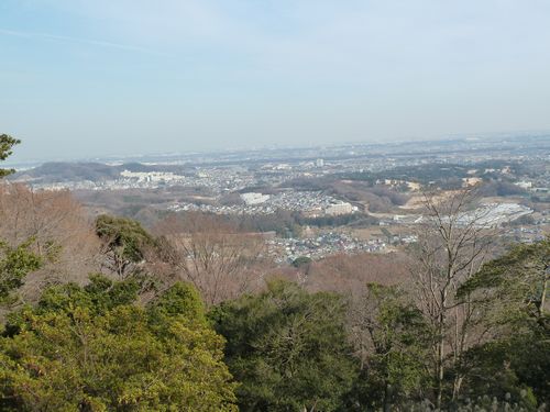イメージ 7