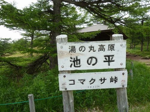 イメージ 7