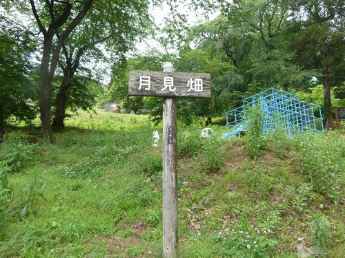 イメージ 3