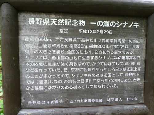 イメージ 6