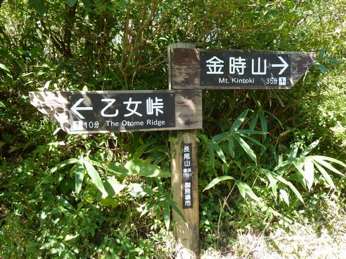 イメージ 19