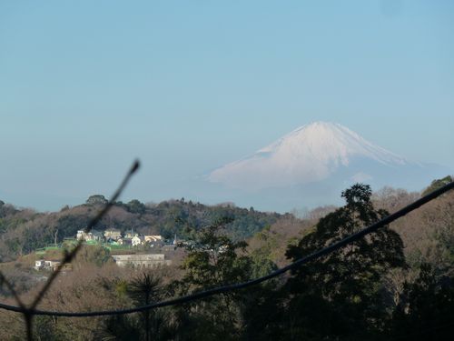 イメージ 8