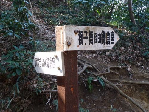イメージ 15