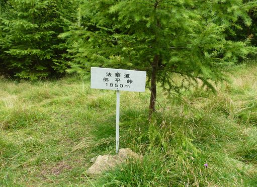 https://livedoor.blogimg.jp/yamane2019/imgs/b/2/b2995434.jpg
