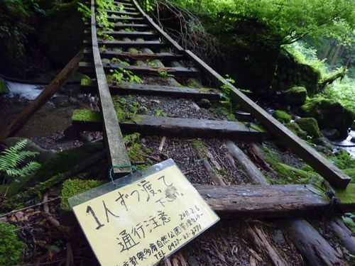 イメージ 15