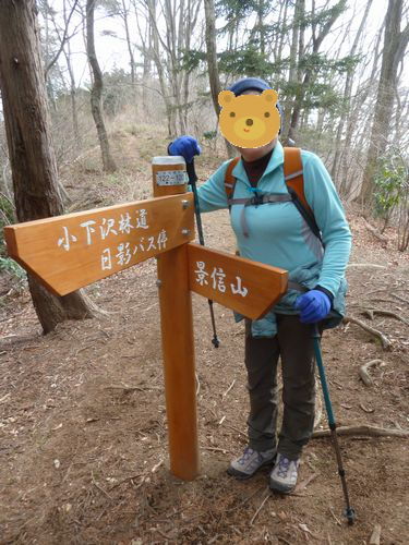 イメージ 10