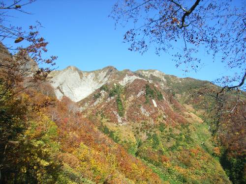 https://livedoor.blogimg.jp/yamane2019/imgs/b/8/b85aa733.jpg