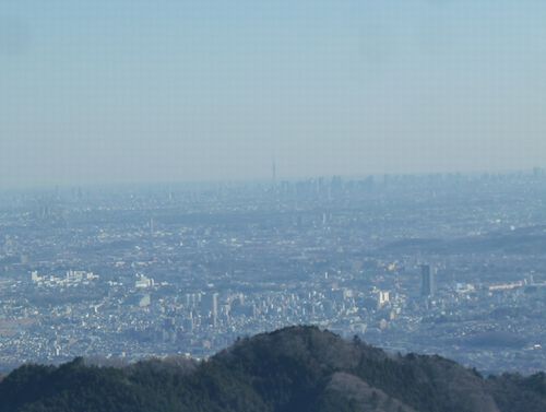 イメージ 5