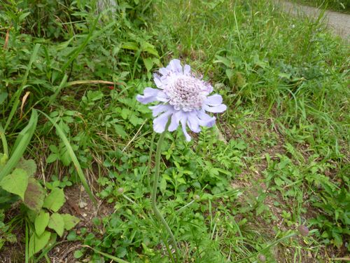 https://livedoor.blogimg.jp/yamane2019/imgs/b/c/bc1be4f1.jpg