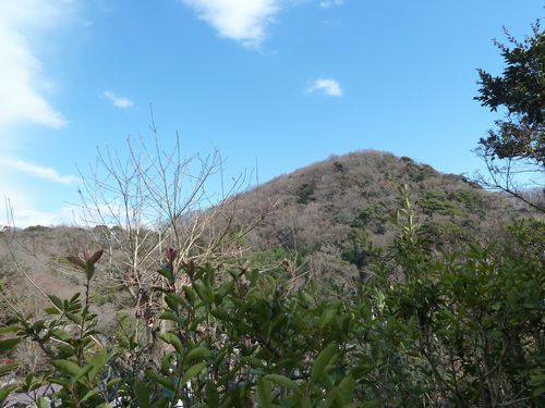 イメージ 25