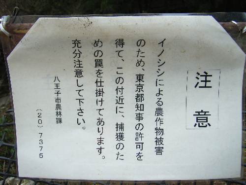 https://livedoor.blogimg.jp/yamane2019/imgs/c/0/c0111261.jpg