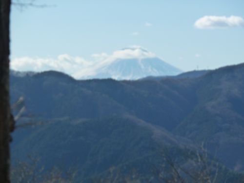 イメージ 13