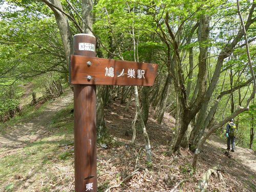 イメージ 7