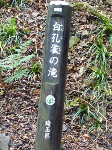 イメージ 7