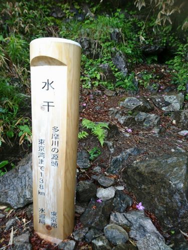 イメージ 18