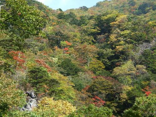 https://livedoor.blogimg.jp/yamane2019/imgs/c/5/c5f93308.jpg