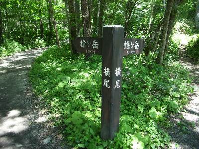 https://livedoor.blogimg.jp/yamane2019/imgs/c/7/c7e69fdc.jpg