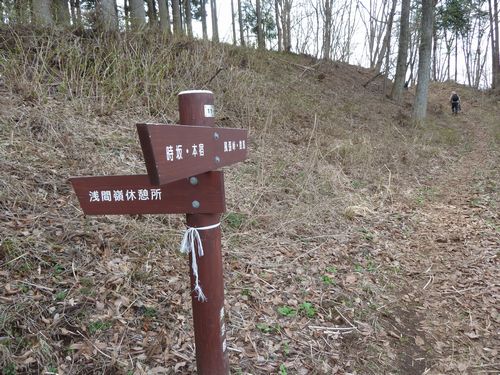 イメージ 7