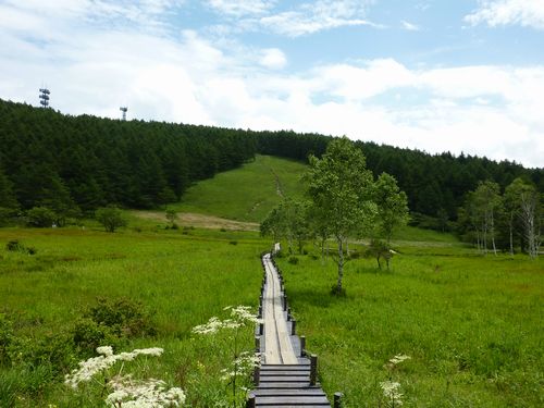 https://livedoor.blogimg.jp/yamane2019/imgs/c/a/ca7ecf84.jpg