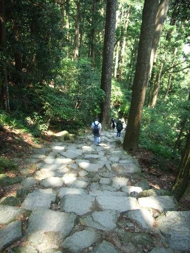 https://livedoor.blogimg.jp/yamane2019/imgs/c/d/cde899c9.jpg