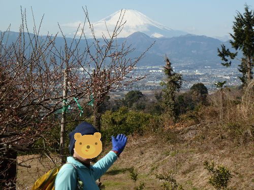 イメージ 16